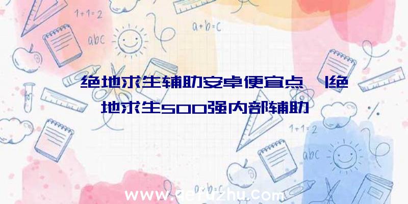 「绝地求生辅助安卓便宜点」|绝地求生500强内部辅助